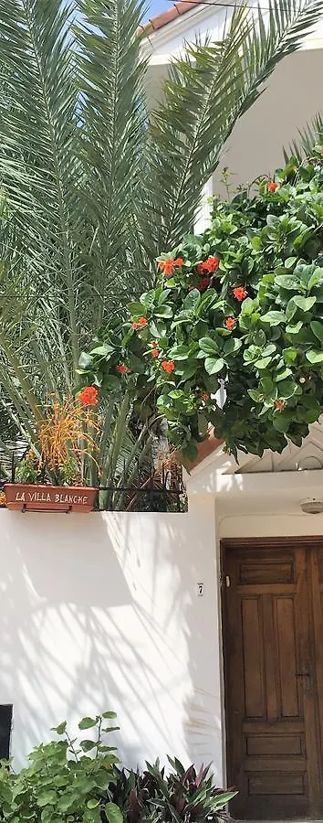 La Villa Blanche Dakar Bed & Breakfast
